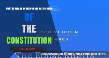 Understanding the Constitution's Ratification Process