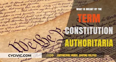 The Rise of Constitutional Authoritarianism: Understanding the Trend