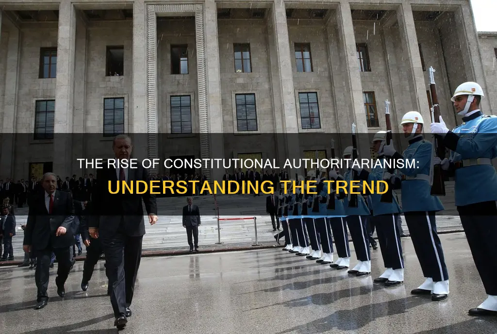 what is meant by the term constitutional authoritarianism
