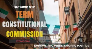 Understanding Constitutional Commissions: Their Role and Relevance