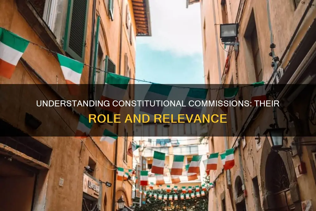 what is meant by the term constitutional commission