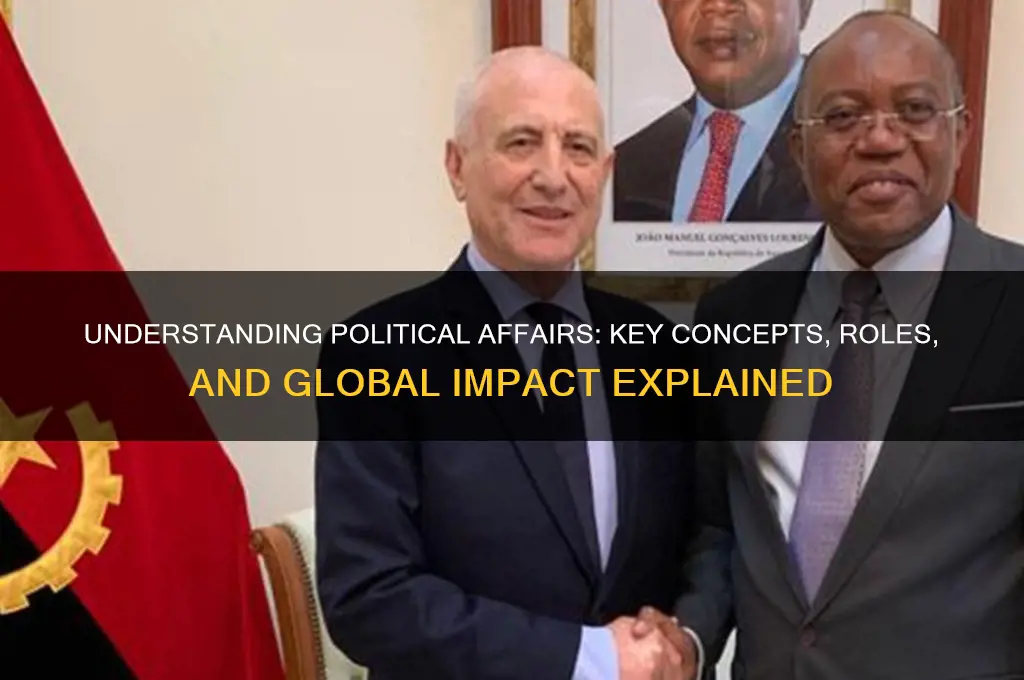 what is meant political affairs