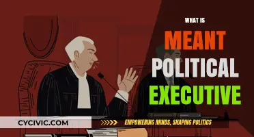 Understanding the Role and Function of the Political Executive