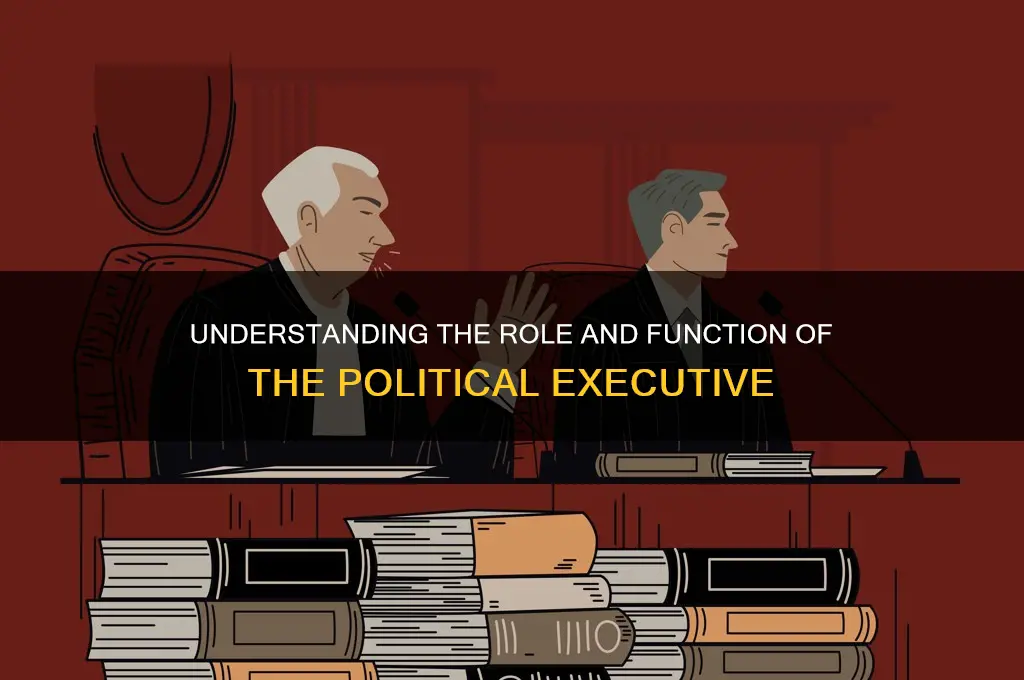 what is meant political executive