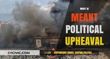 Understanding Political Upheaval: Causes, Impacts, and Historical Context