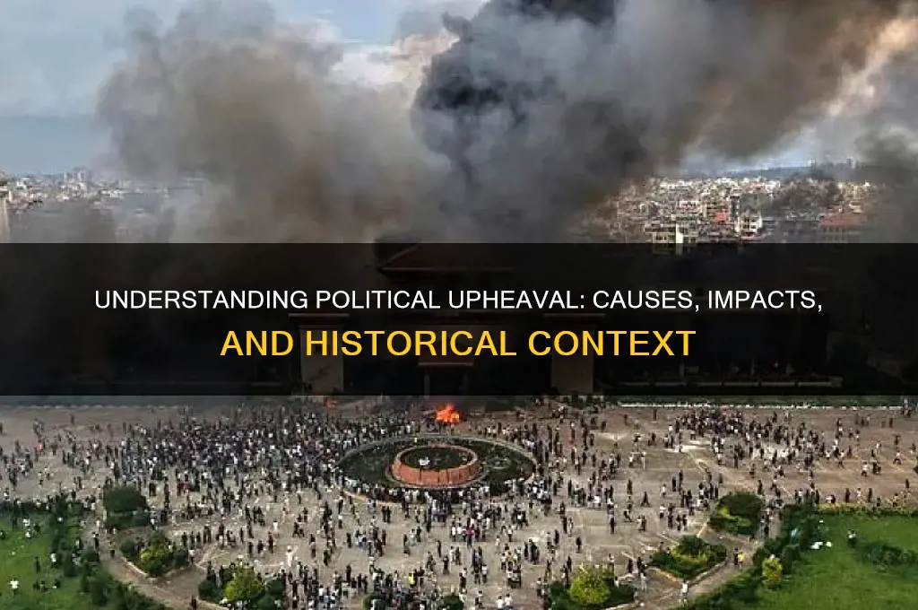 what is meant political upheaval