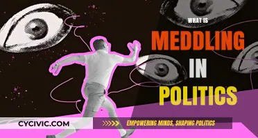 Understanding Meddling in Politics: Tactics, Impacts, and Global Implications
