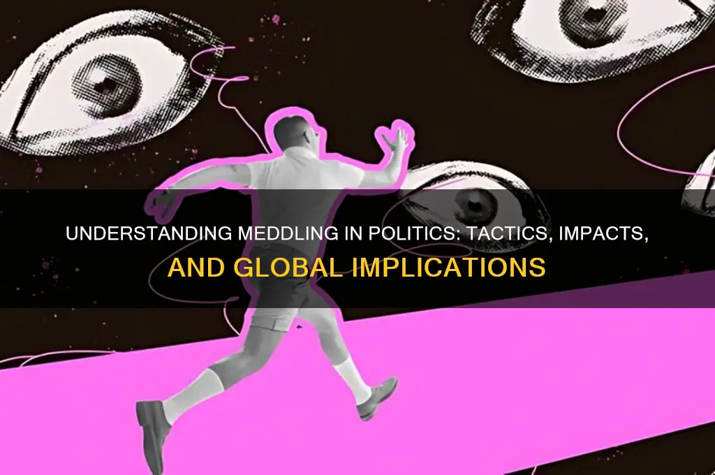 what is meddling in politics
