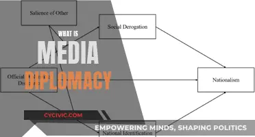Media Diplomacy: Understanding the Art of Persuasion