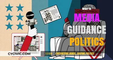 Understanding Media Guidance Politics: Influence, Strategy, and Public Perception