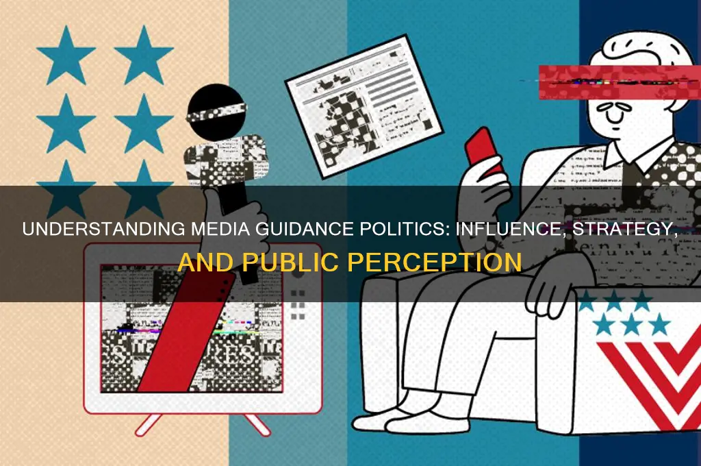 what is media guidance politics