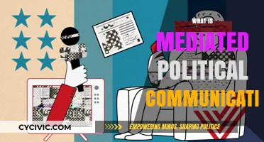 Understanding Mediated Political Communication: Shaping Public Opinion and Democracy