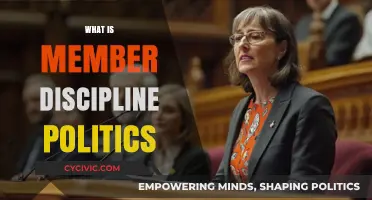 Understanding Member Discipline in Political Parties: Power, Control, and Consequences