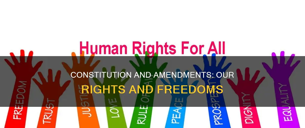 what is mentioned by the constitution and its amendments