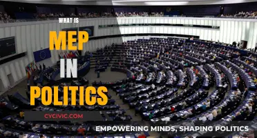 Understanding MEP: Role, Influence, and Impact in European Politics