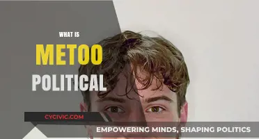 Unveiling the Political Dimensions of the #MeToo Movement: Power, Accountability, and Change