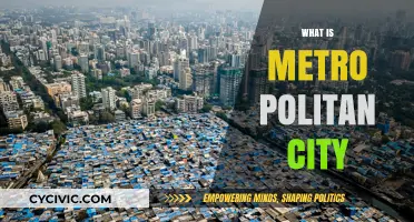 Understanding the Concept of a Metropolitan City: Definition and Characteristics