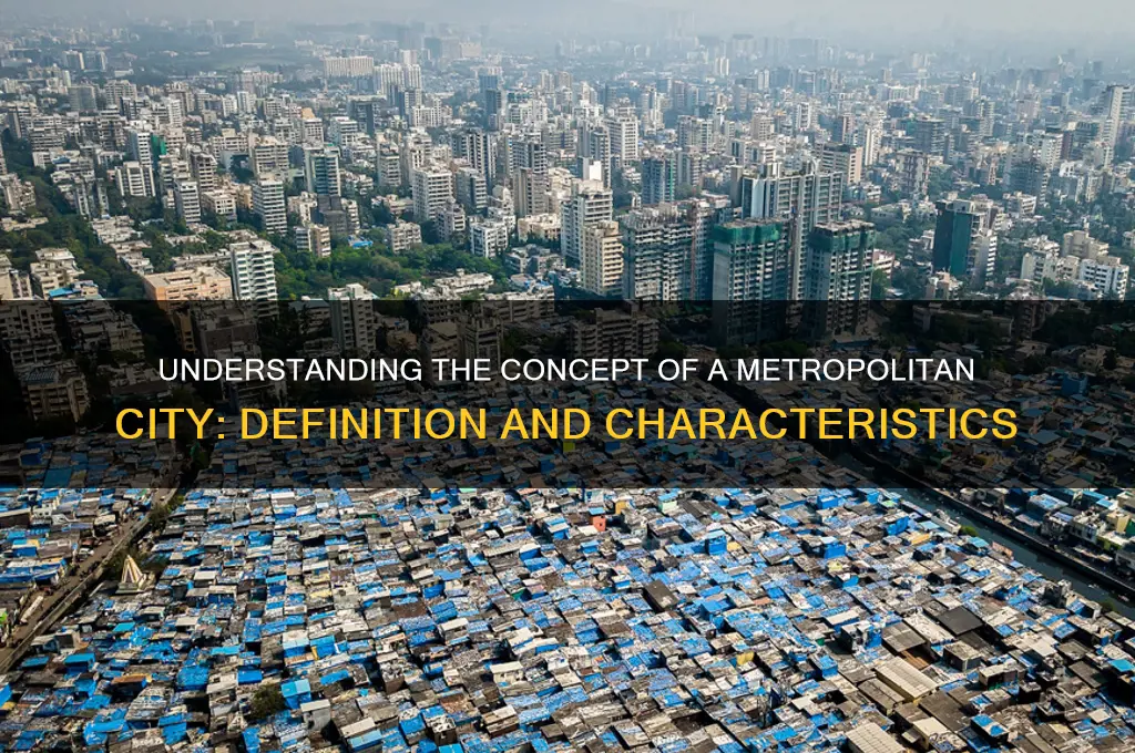 what is metro politan city