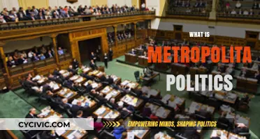 Understanding Metropolitan Politics: Power, Governance, and Urban Dynamics Explained