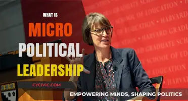 Understanding Micro Political Leadership: Strategies, Influence, and Organizational Dynamics