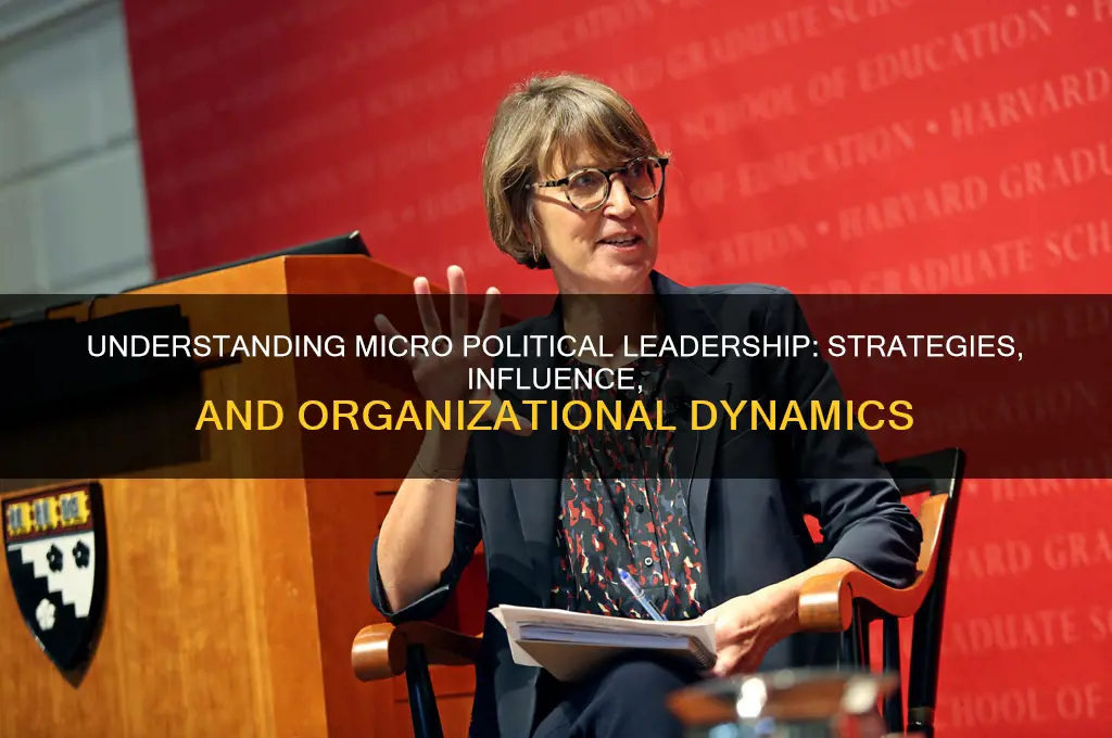what is micro political leadership