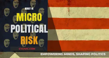 Understanding Micro Political Risk: Impact on Businesses and Investment Strategies