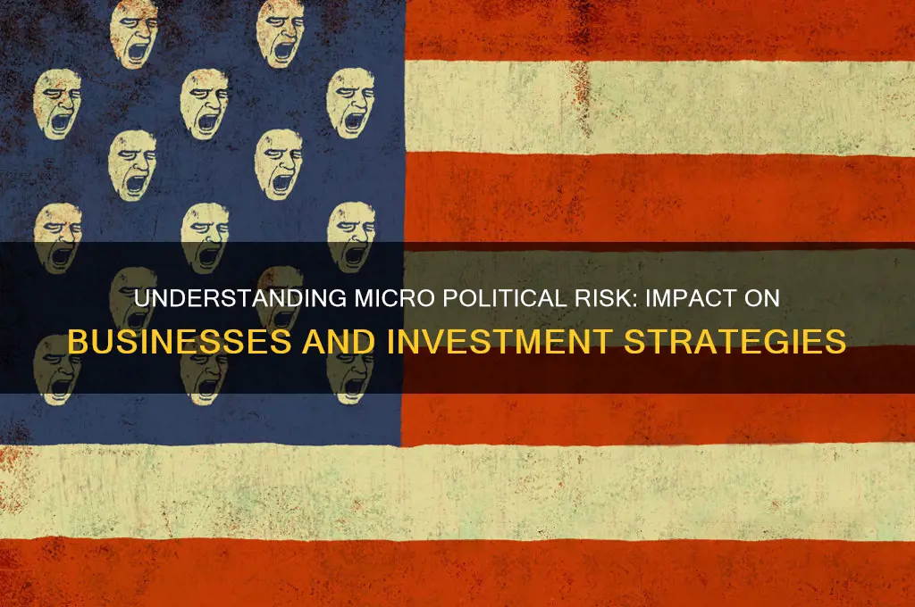 what is micro political risk