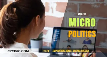 Understanding Micro Politics: Power Dynamics in Everyday Interactions