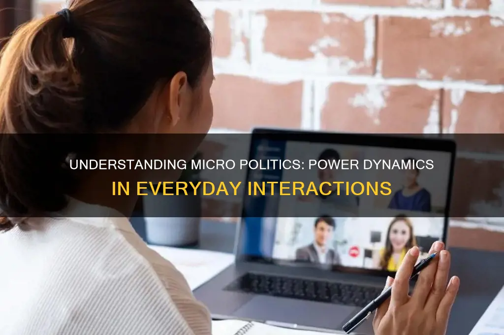 what is micro politics