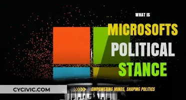 Microsoft's Political Stance: Corporate Influence and Global Policy Engagement