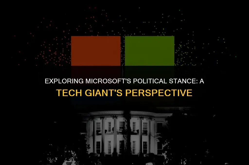what is microsoft