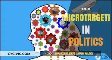 Understanding Microtargeting: How Data Shapes Political Campaigns and Elections
