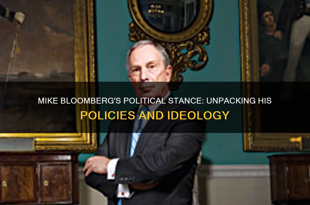 what is mike bloomberg politics