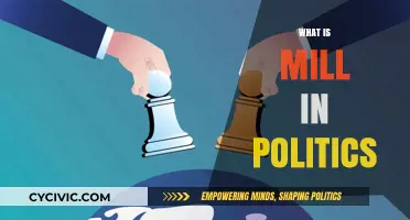 Understanding the Political Mill: Mechanisms, Influence, and Power Dynamics