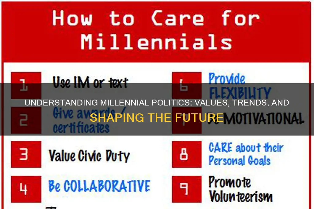 what is millenial politics