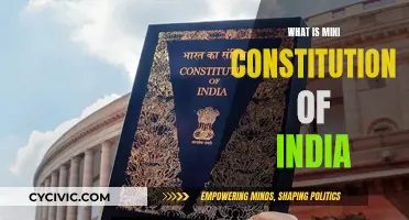 The Mini Constitution of India: Understanding the Basics