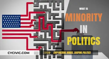 Understanding Minority Representation and Power Dynamics in Political Systems