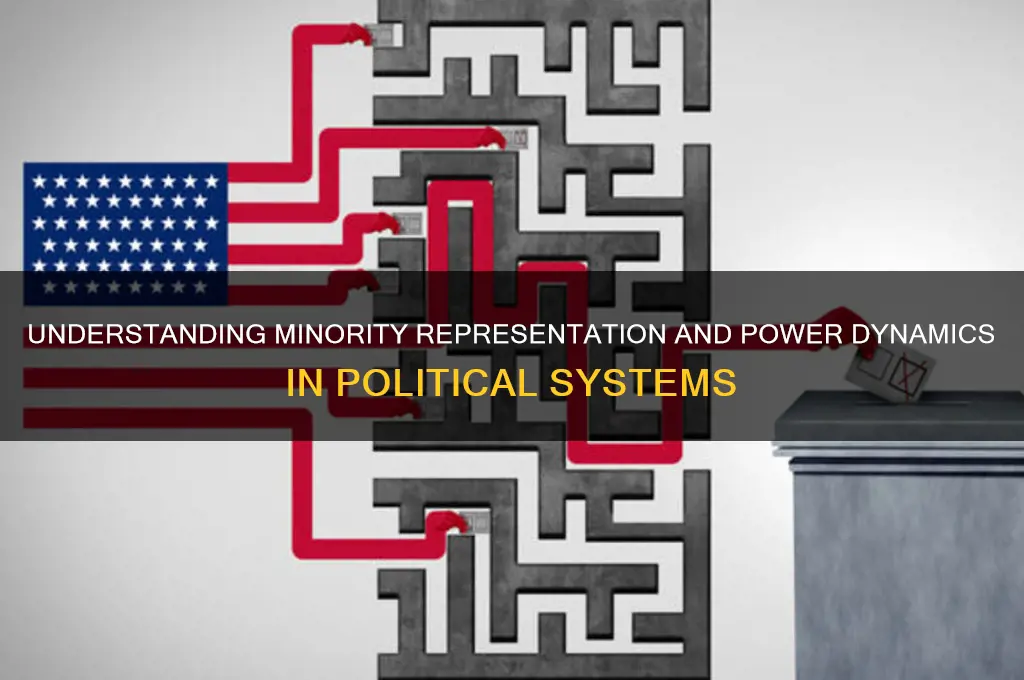 what is minority in politics