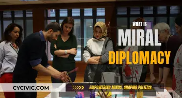 Understanding the Intricacies of Mirror Diplomacy