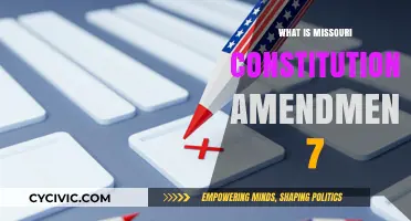 Missouri's Amendment 7: Understanding the Right to Bear Arms