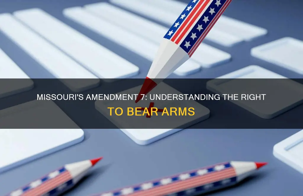 what is missouri constitutional amendment 7