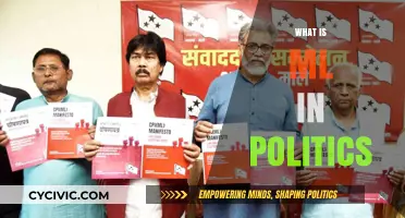 Machine Learning's Role in Shaping Modern Political Strategies and Campaigns