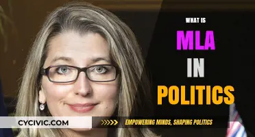Understanding MLA: Role, Responsibilities, and Political Impact Explained