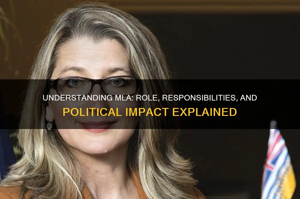 what is mla in politics