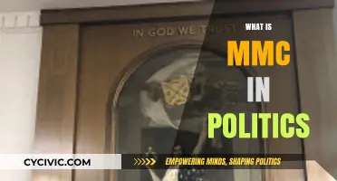 Understanding the Role of MMC in Political Systems and Governance