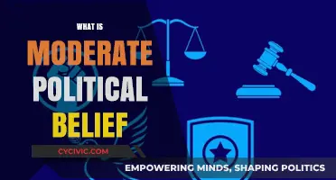 Understanding Moderate Political Beliefs: Balancing Ideologies in Modern Politics