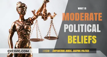 Understanding Moderate Political Beliefs: Balancing Pragmatism and Compromise