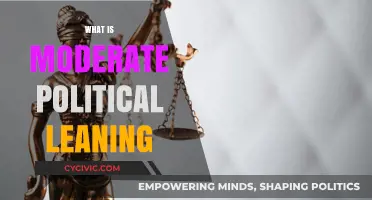 Understanding Moderate Political Leaning: Balancing Ideologies in Modern Politics