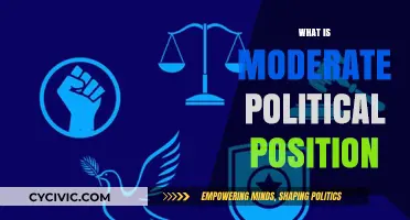 Understanding the Moderate Political Position: Balancing Ideologies in Governance