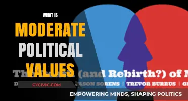 Understanding Moderate Political Values: Balancing Pragmatism and Compromise